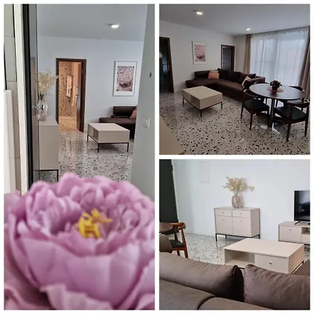 Appartement Delta House Gama *